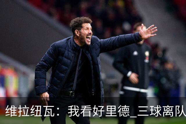维拉纽瓦：我看好里德 三球离队黄蜂的实力反而得到了提升